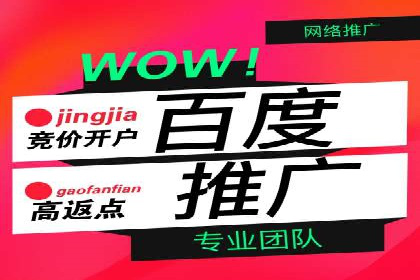 百度推广费用投入与转化率提升的经典案例