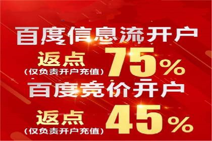 百度推广竞价全解析：某电商平台的营销策略